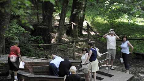 Bukovnisko jezero Vidov izvir