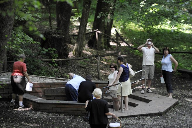 Bukovnisko jezero Vidov izvir