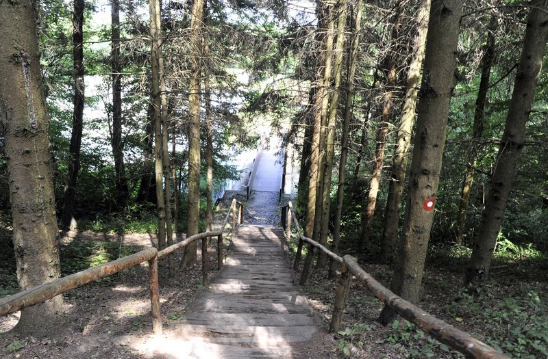 Bukovnisko jezero okolica gozd