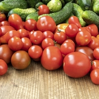 paradiznik kumare razstopina nasvet gnojenje zalivanje vrt zelenjava