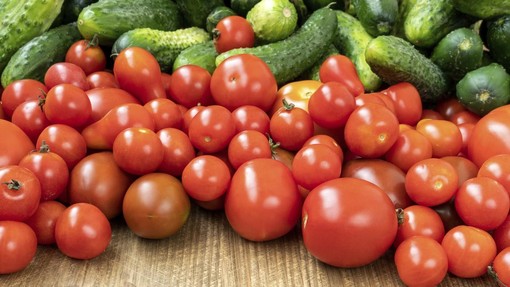 Vrtičkarje obnorel preprost trik: ta raztopina poskrbi, da kumare in paradižnik na vrtu rastejo kot gobe po dežju