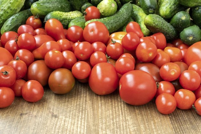 paradiznik kumare razstopina nasvet gnojenje zalivanje vrt zelenjava