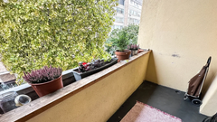 Je vredno svojega denarja? Tako izgleda stanovanje v centru Ljubljane, ki se prodaja za skoraj milijon evrov (FOTO)