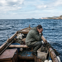 jadran ribici morje skakavka riba agresija voda tezave spremembe narava