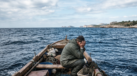 jadran ribici morje skakavka riba agresija voda tezave spremembe narava