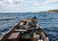 Ribiči na Jadranu iz morja potegnili mrežo in se prijeli za glavo: kjer se pojavi to, nihče drug ne preživi!