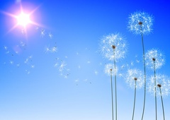 Zakaj je nebo modro? Odgovor je dal nobelovec, ki je nagrado dobil za čisto nekaj drugega