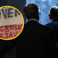 stevanovic drzavni zbor parlament pirc musar sporocilo