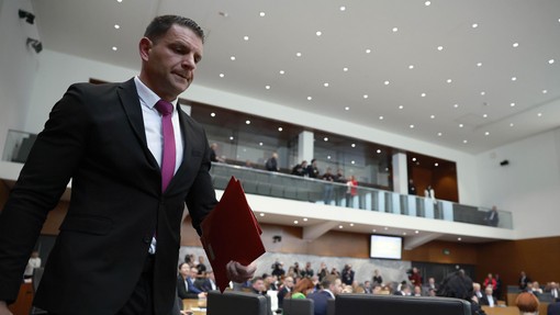 Osupljive besede po Stevanovićevi izvolitvi: "Je le kmet na Janševi šahovnici!" In sporočilo Golobu: "Če ga imaš v žepu, ga potegni ven!"