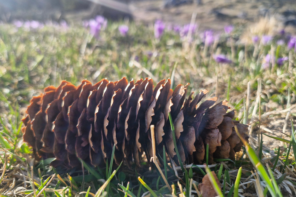 Znano je, kakšno vreme je pred nami: mnogi se bodo napovedi razveselili (foto: R. K.)