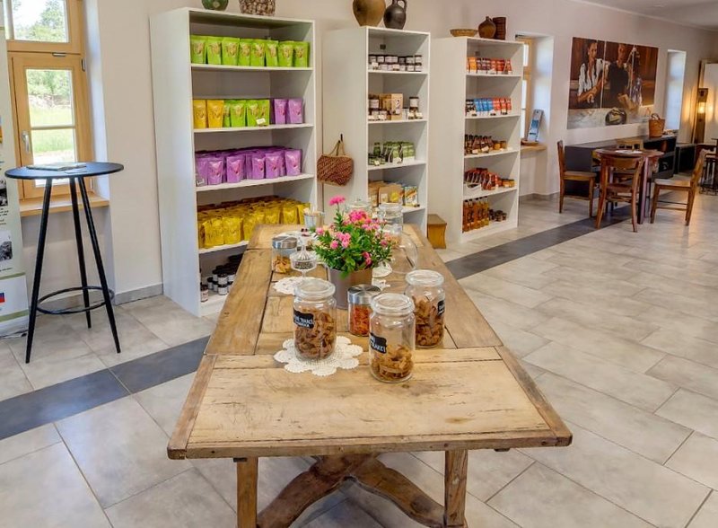 Doživeli smo teambuilding, ki ga ne pozabiš: spekli smo odlično prekmursko gibanico (po tradiciji in hkrati trajnostno!)