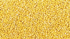 proso zdravje zito hrana kulinarika recept jedilnik srce zile