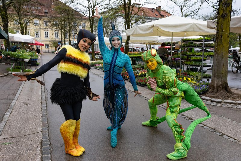 Cirque du Soleil cirkus akrobati Ljubljana trznica