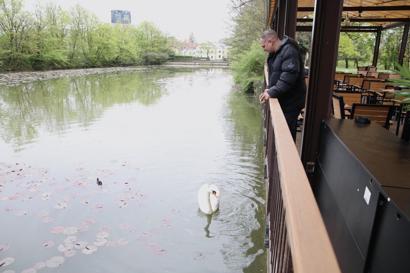Colnarna Tivoli lokal Rok Perko Frenk labod