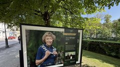 
                                                         Moj zdravnik akcija razstava