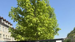 
                                                         Moj zdravnik akcija razstava