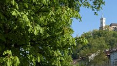 
                                                         Moj zdravnik akcija razstava