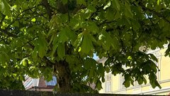 
                                                         Moj zdravnik akcija razstava