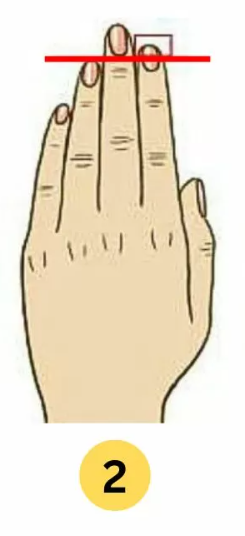 2 Kazalec daljši od prstanca Če je tvoj kazalec daljši od prstanca, to kaže na močno samozavest in pogosto tudi …