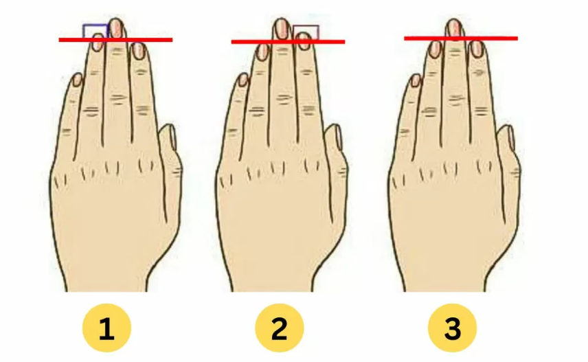 Dolžina prstov lahko pove presenetljivo veliko o človeku. Test osebnosti, ki temelji na razmerjih med dolžinami prstov, ponuja zanimiv vpogled …