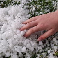 Slovenijo je zajelo neurje: najhuje je bilo tukaj, padala je tudi sodra (FOTO)