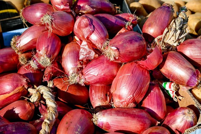 cebula cebule olupki zdravje jugoslavija babice