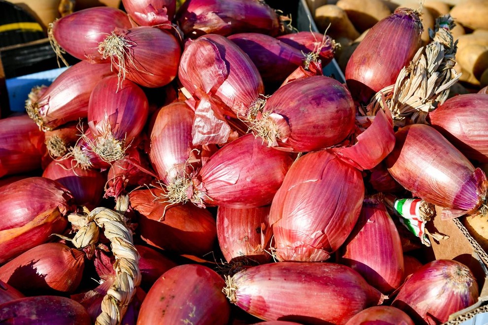 cebula cebule olupki zdravje jugoslavija babice