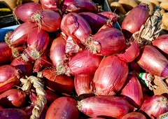 Nikar ne zavrzite čebulnih olupkov: to so z njimi počele že babice v Jugoslaviji, zdravje vam bo reklo le hvala lepa!