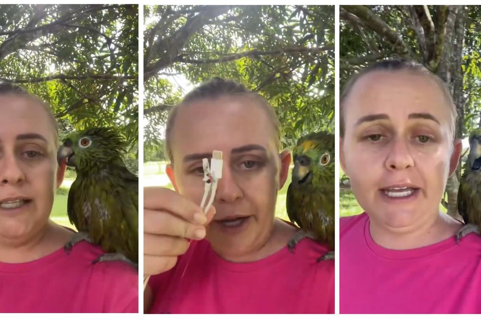 Jokali boste od smeha! Ženska se je hudo sprla s papagajem, razlog pa je takšen (VIDEO) (foto: Zaslonska slika/X)