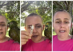Jokali boste od smeha! Ženska se je hudo sprla s papagajem, razlog pa je takšen (VIDEO)
