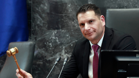 zoran stevanovic drzavni zbor slovenija politika