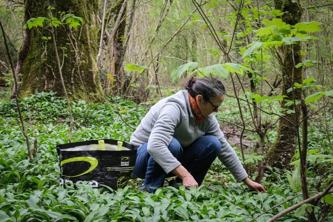 cemaz zdravje zile telo kulinarika recept nasvet napaka kuhanja zelenjava narava