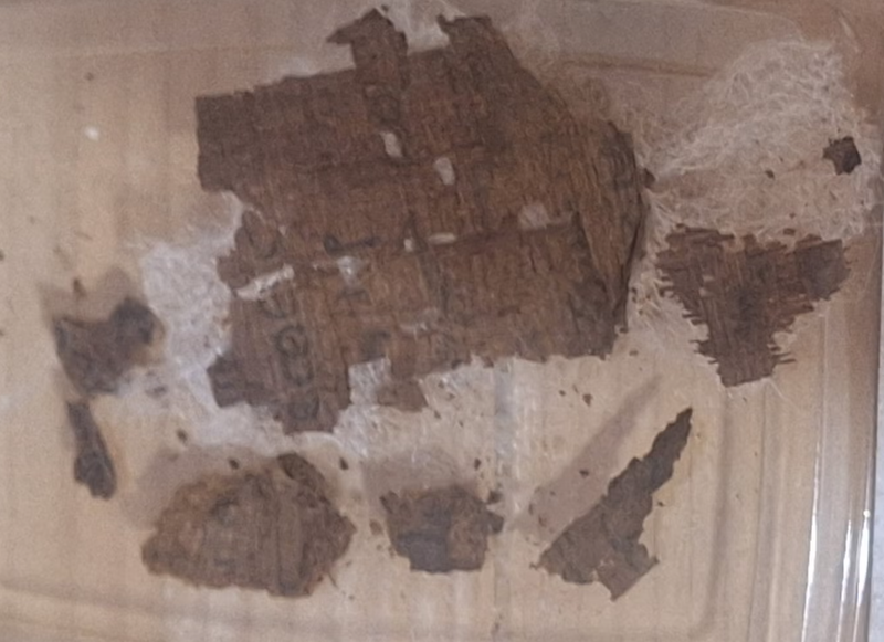 mumija egipt najdba arheologija zgodovina preteklost homer iliada