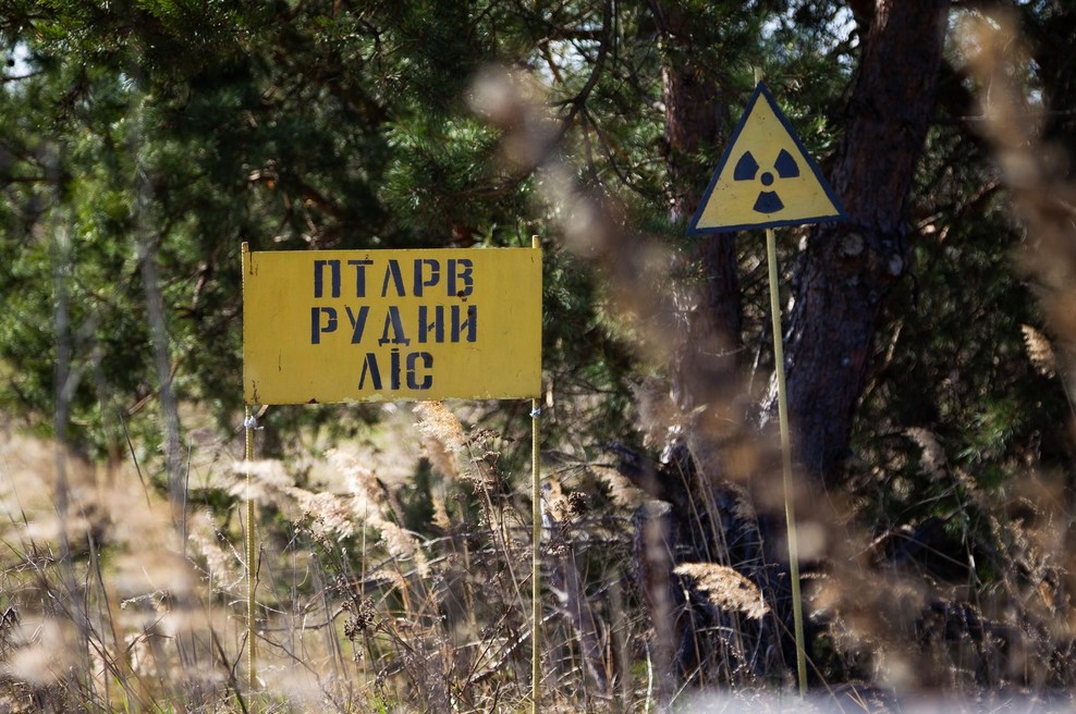 V Černobilu se 40 let po jedrski katastrofi dogaja nekaj, česar nihče ni mogel predvideti (foto: profimedia)
