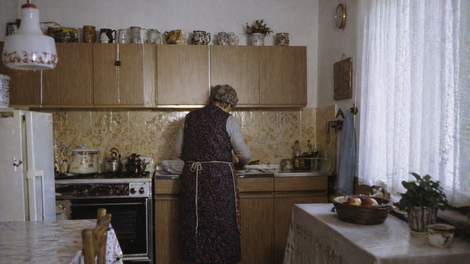 babica jugoslavija slovenija zdravje rdeca pesa nasvet jetra crevesje recept navodila