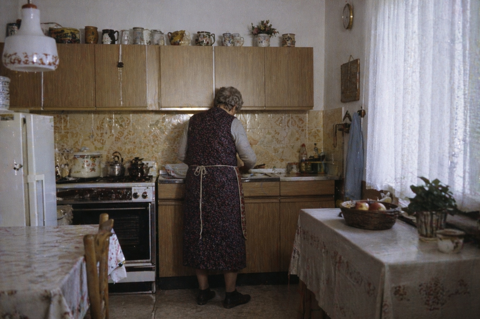 Naše babice so jo oboževale, na njihovih jedilnih listih je ta rastlina imela častno vlogo: raste povsod, le nabrati jo je treba (in pripraviti) (foto: ChatGPT)