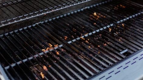 zar piknik svinjarija umazanija cistoca ciscenje trik mojstri nasvet