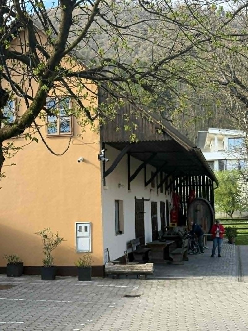 Gostilna Grad pohani piscanec Smarna gora Tacen