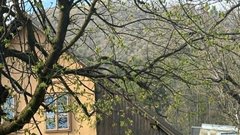 
                                                         Gostilna Grad pohani piscanec Smarna gora Tacen
