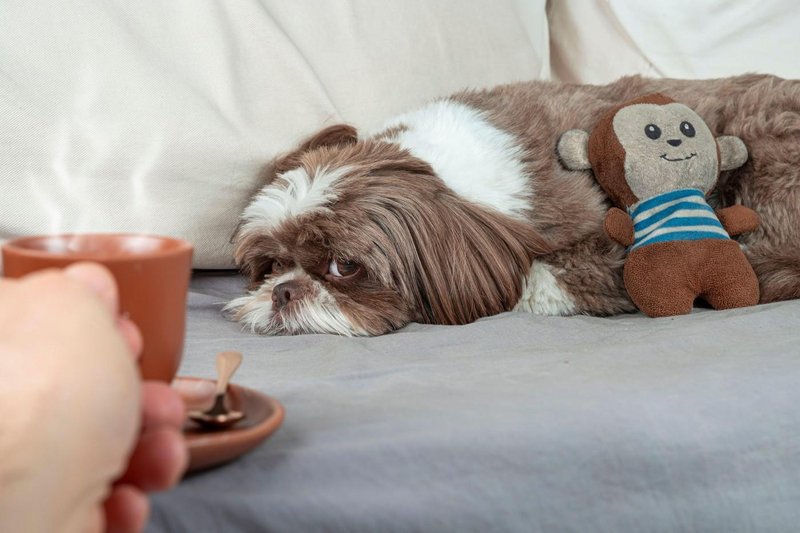 pes