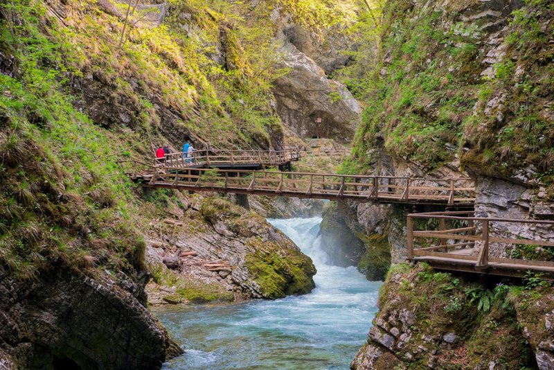 Turistka tega ni vedela o Sloveniji: "Nočem priti k vam in se bati, da me bo nekdo ustavil!"