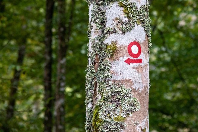 Katera bo naj planinska pot 2026?