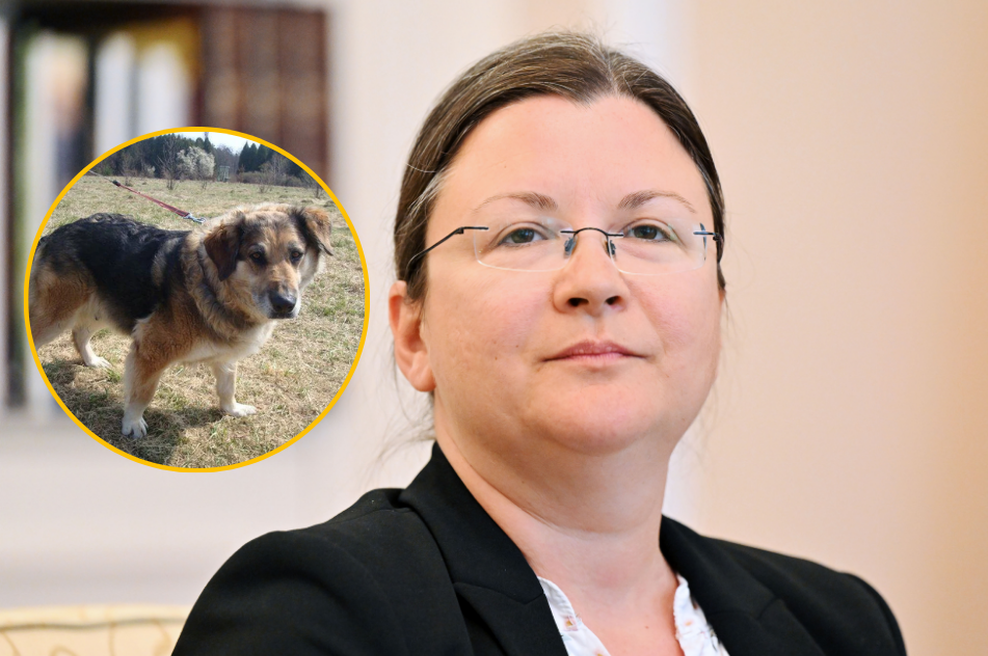 Je morala psička Lina res umreti zaradi poslanke stranke Resnica? Katja Kokot se je odzvala na obtožbe (foto: Žiga Živulovič jr./Bobo/Slovenske novice)
