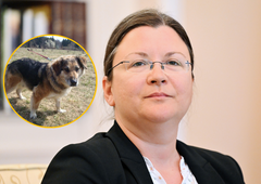 Je morala psička Lina res umreti zaradi poslanke stranke Resnica? Katja Kokot se je odzvala na obtožbe