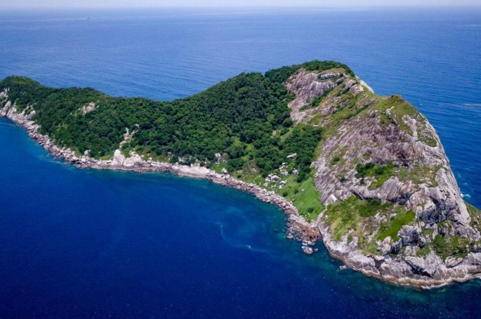 Turist se je odpravil na najnevarnejši otok na svetu: tam ga je čakalo 4000 strupenih kač (foto: X/real_lord_miles)