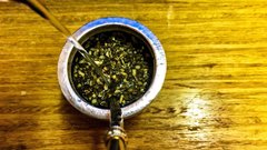 yerba mate pijaca bogov zeleno zlato srce zile hujsane zdravje juzna amerika paragvaj