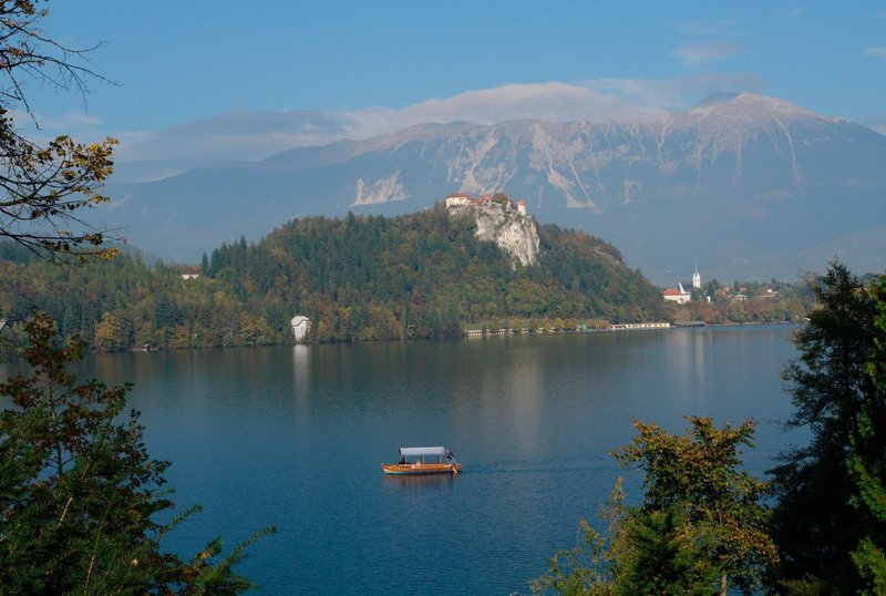 Blejski grad