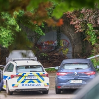 incident, Šiška