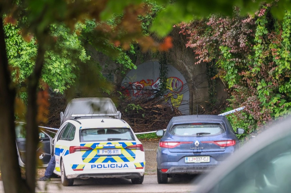 Krvavi napad v Šiški bi lahko preprečili? Na plan prihajajo srhljive podrobnosti o preteklosti osumljenca (foto: Sani Karić/STA)
