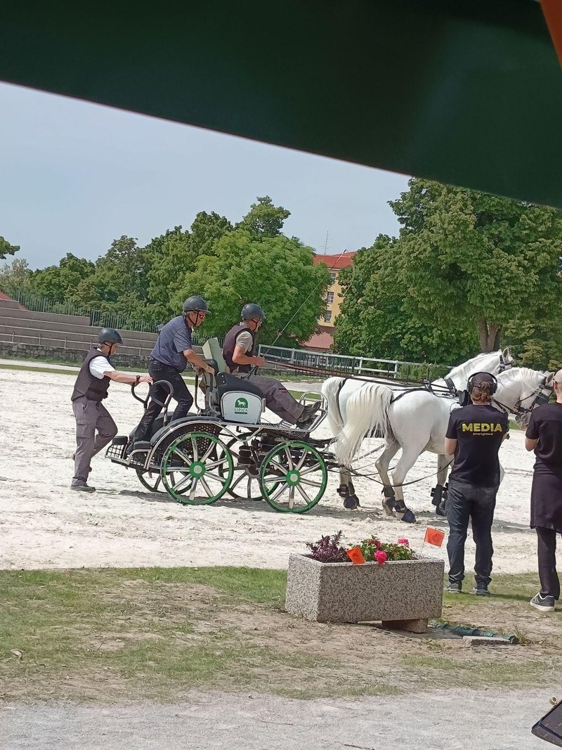 V Lipici z novo energijo na največjem šolskem turistično-športnem in kulturnem spektaklu